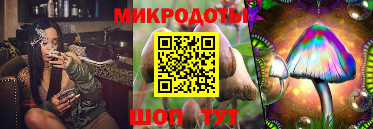 Петропавловск-Камчатский  Псилоцибиновые грибы мухоморы  Вход с VPN  Галлюциногенные грибы MAGIC MUSHROOMS 